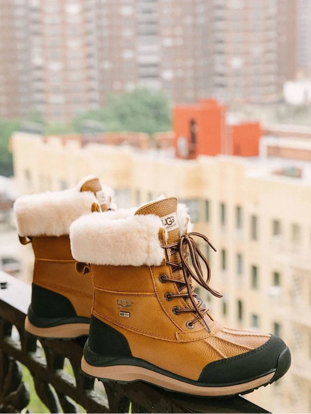 UGG Women's Adirondack III Boot- Chesnut